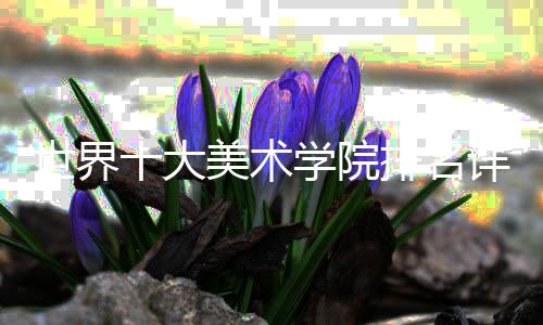 世界十大美术学院排名详情一览！