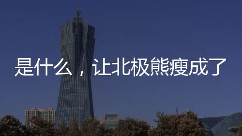 是什么，让北极熊瘦成了狗？