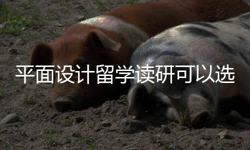 平面设计留学读研可以选择哪些院校？