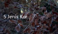 5 Jenis Kurma Terbaik di Dunia, Adakah Favoritmu?