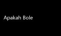 Apakah Boleh Belajar Al