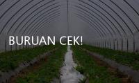 BURUAN CEK! Saldo Dana Bansos PKH Triwulan I Cair Sampai Maret, Login NIK KTP