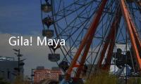 Gila! Maya Kusmaya Setujui Pengoplosan BBM di Kasus Korupsi Pertamina, Ternyata Lulusan Norway Lho!