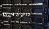 ESDM Ungkap 50% Proyek PLTS Atap Molor karena Kekurangan SDM