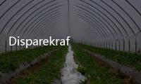 Disparekraf NTT Belum Dapat Info Resmi soal Penutupan TN Komodo