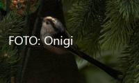 FOTO: Onigiri Terbaik di Tokyo, Pelanggan Rela Antre 3
