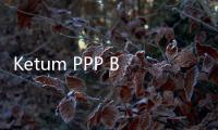 Ketum PPP Belum Bisa Dihubungi Sejak Pagi, Benarkah Ditangkap KPK?