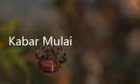 Kabar Mulai Ada Pendataan Vaksin Covid