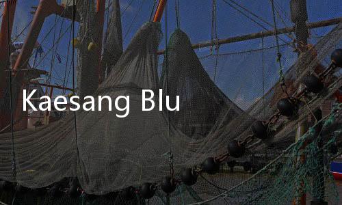 Kaesang Blusukan Ke Tangerang Pakai Rompi Putra Mulyono, Pengamat Sebut Kebanyakan Gimmick!