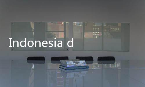 Indonesia dan Prancis Siap Perkuat Kerja Sama Strategis di Bidang Pertahanan