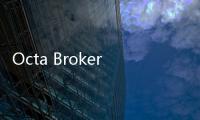 Octa Broker soal Bull Run Kripto 2025: Konsekuensi dan Strategi