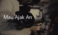Mau Ajak Anabul Liburan Naik Pesawat? Cek Dulu Persyaratannya