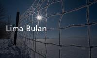 Lima Bulan Pertama di 2025, China Sukses Jual Mobil 12,75 Juta Unit