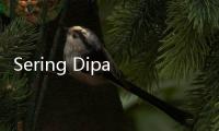 Sering Dipakai Masak, 5 Jenis Minyak Ini Ternyata Tak Bagus buat Tubuh