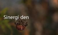 Sinergi dengan Pers, Dadang Supriatna Raih Penghargaan Lontar Award