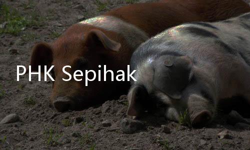 PHK Sepihak Tenaga Pendamping Profesional Desa, Wamendes: Seharusnya Tak Boleh Berpartai