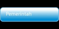 Pemerintah