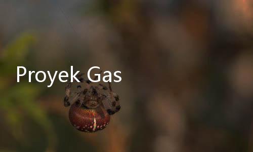 Proyek Gas di Papua Barat Tunjukkan Kemajuan Signifikan, Bahlil Minta Ini ke Pelaksana