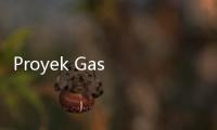 Proyek Gas di Papua Barat Tunjukkan Kemajuan Signifikan, Bahlil Minta Ini ke Pelaksana