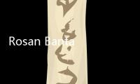 Rosan Bantah Investor Ray Dalio Mundur dari Danantara