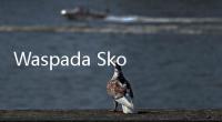 Waspada Skoliosis De Novo, Kondisi yang Bikin Lansia Sulit Berjalan