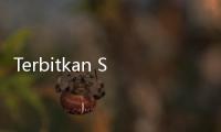 Terbitkan Surat Edaran, Kemenkop Percepat Tata Cara Pembentukan Kopdes Merah Putih