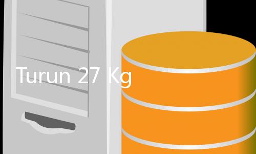 Turun 27 Kg, Ini Rahasia Diet Kelly Clarkson